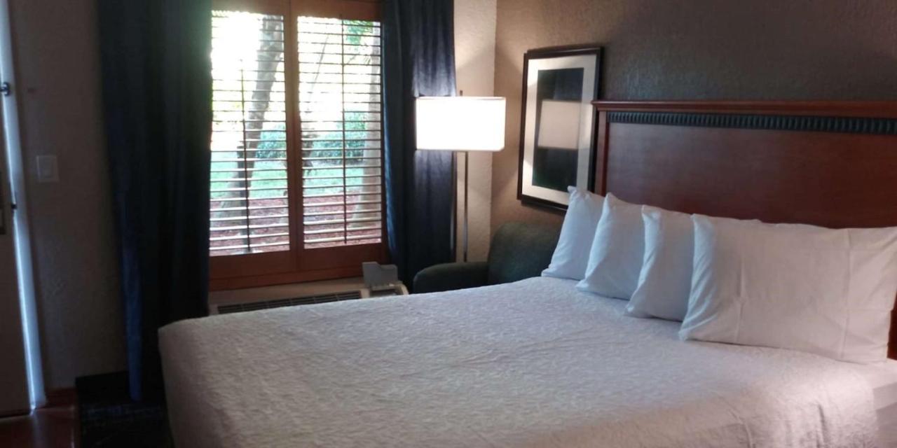 Surestay Plus Hotel By Best Western Clearwater Central Kültér fotó